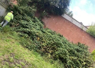 davis all aspects landing scaping new 5