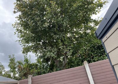 davis all aspects landing scaping new 8